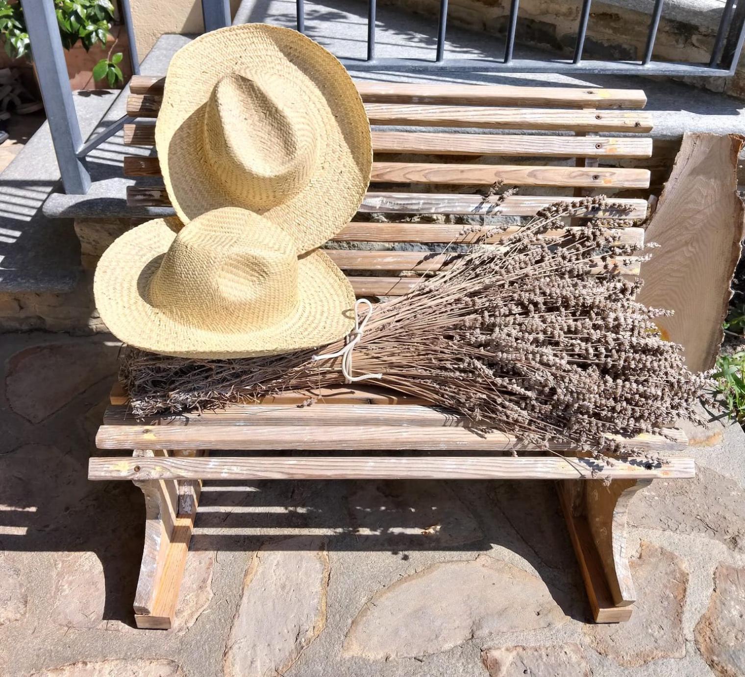 Agriturismo Affittacamere Barbarossa ドリアーニ エクステリア 写真