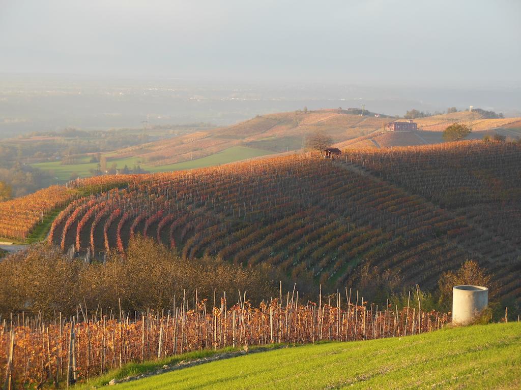 Agriturismo Affittacamere Barbarossa ドリアーニ エクステリア 写真