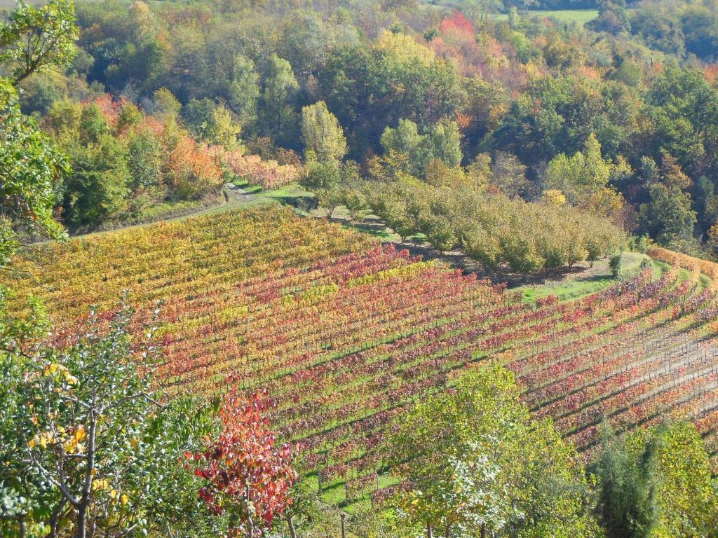 Agriturismo Affittacamere Barbarossa ドリアーニ エクステリア 写真