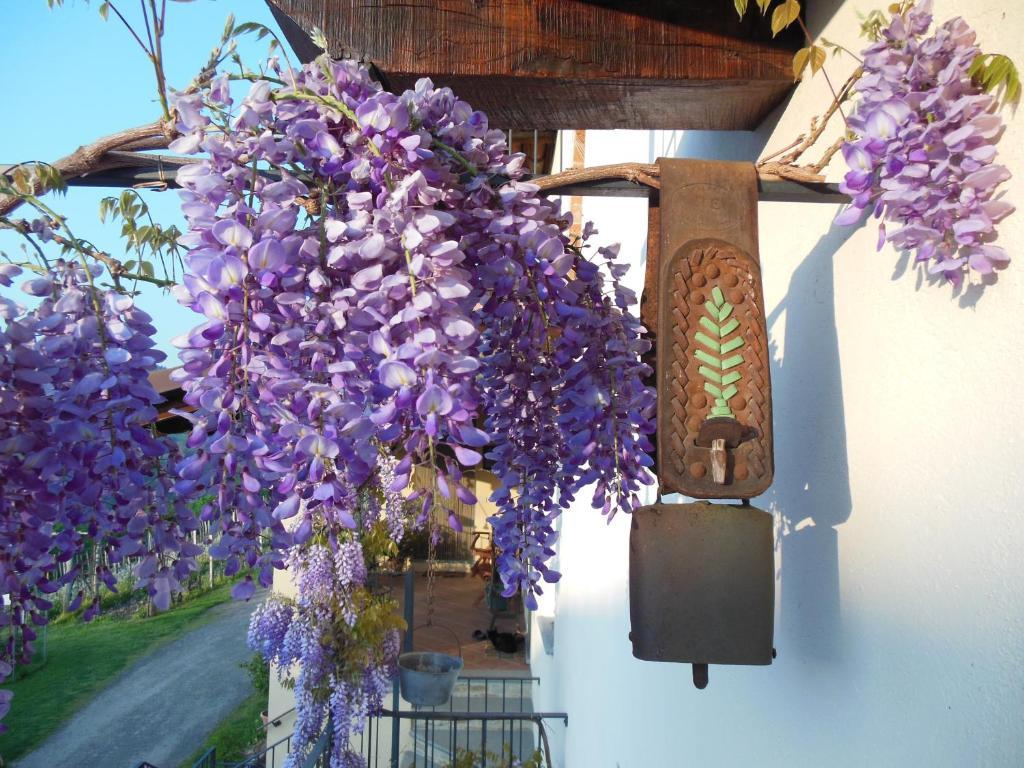Agriturismo Affittacamere Barbarossa ドリアーニ エクステリア 写真