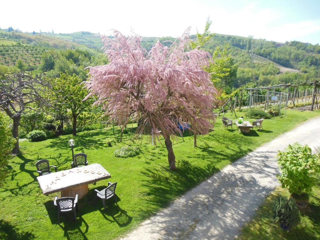 Agriturismo Affittacamere Barbarossa ドリアーニ エクステリア 写真
