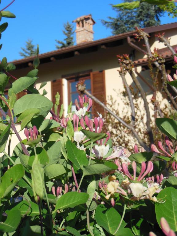Agriturismo Affittacamere Barbarossa ドリアーニ エクステリア 写真