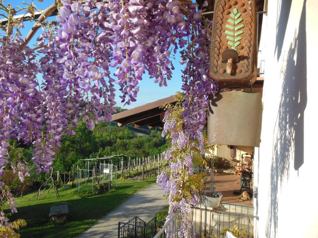 Agriturismo Affittacamere Barbarossa ドリアーニ エクステリア 写真